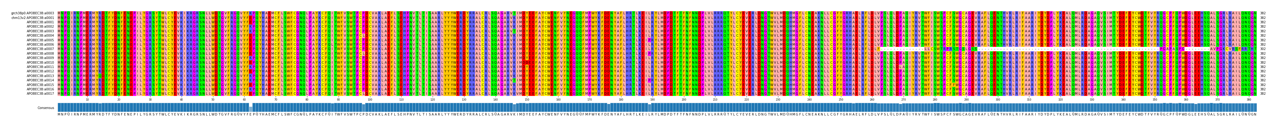 Multiple Alignments (by translate haplotype frequency)