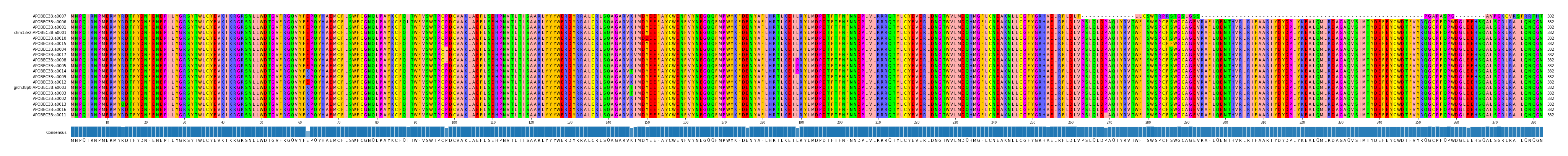 Multiple Alignments (by translate haplotype similarity)