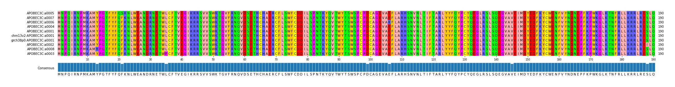 Multiple Alignments (by translate haplotype similarity)