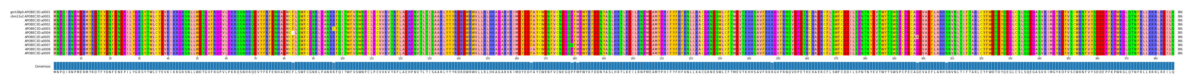 Multiple Alignments (by translate haplotype frequency)