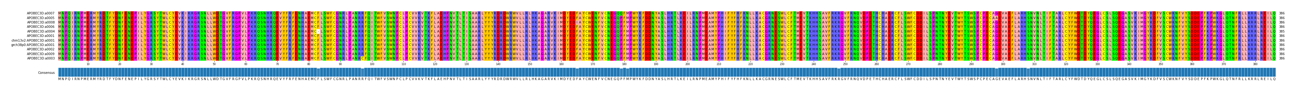 Multiple Alignments (by translate haplotype similarity)