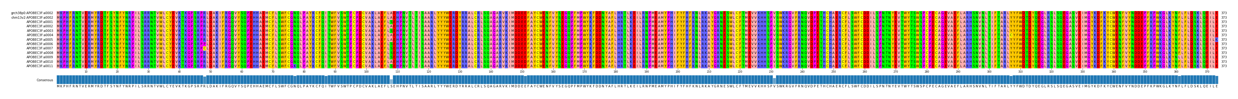 Multiple Alignments (by translate haplotype frequency)