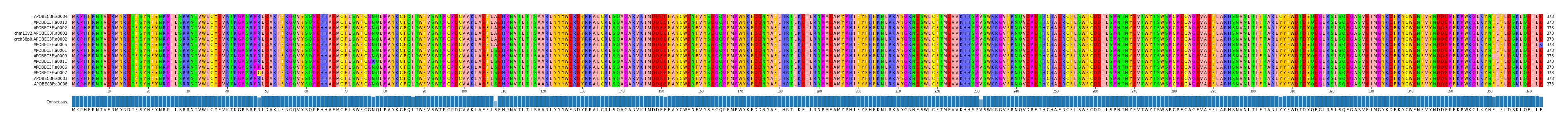 Multiple Alignments (by translate haplotype similarity)