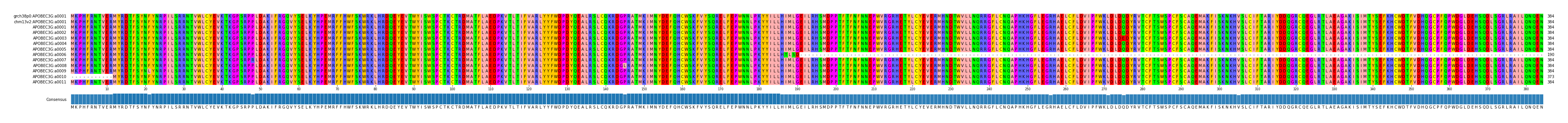 Multiple Alignments (by translate haplotype frequency)