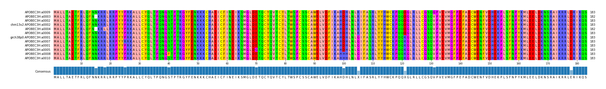 Multiple Alignments (by translate haplotype similarity)
