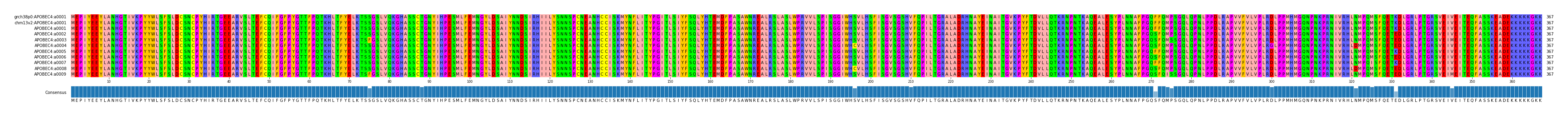 Multiple Alignments (by translate haplotype frequency)