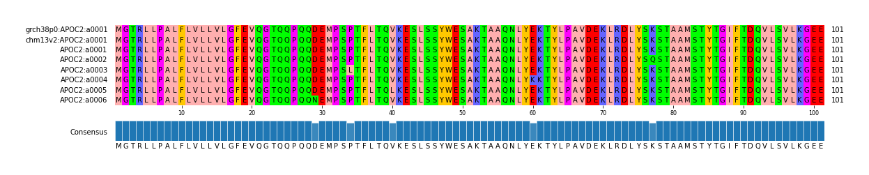 Multiple Alignments (by translate haplotype frequency)