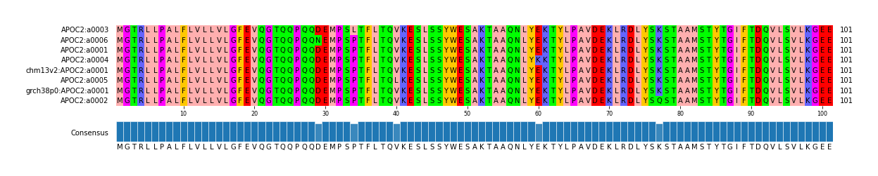 Multiple Alignments (by translate haplotype similarity)