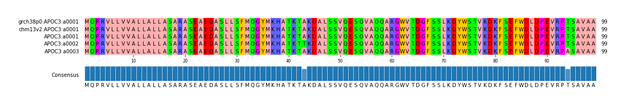 Multiple Alignments (by translate haplotype frequency)