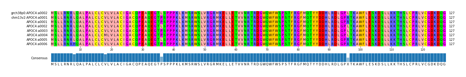 Multiple Alignments (by translate haplotype frequency)