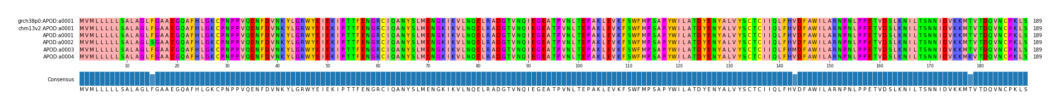 Multiple Alignments (by translate haplotype frequency)
