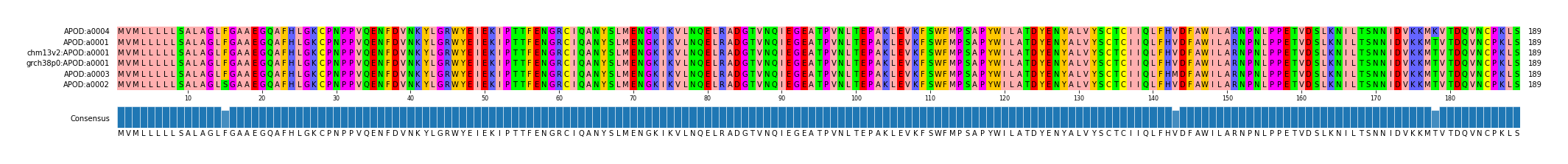 Multiple Alignments (by translate haplotype similarity)
