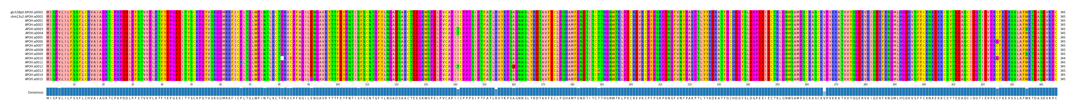 Multiple Alignments (by translate haplotype frequency)
