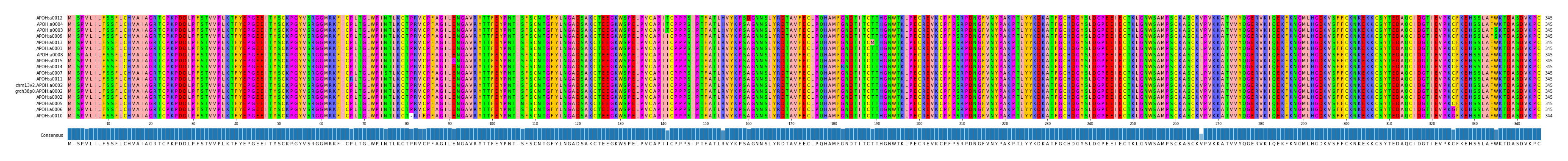 Multiple Alignments (by translate haplotype similarity)