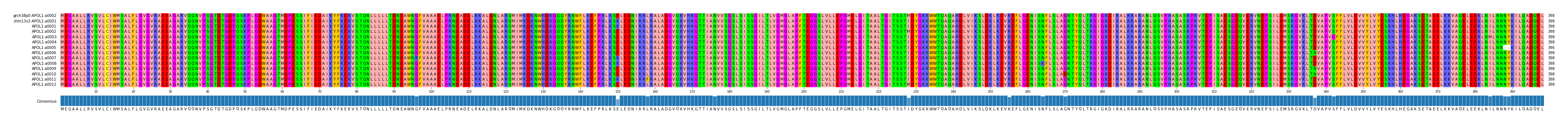 Multiple Alignments (by translate haplotype frequency)