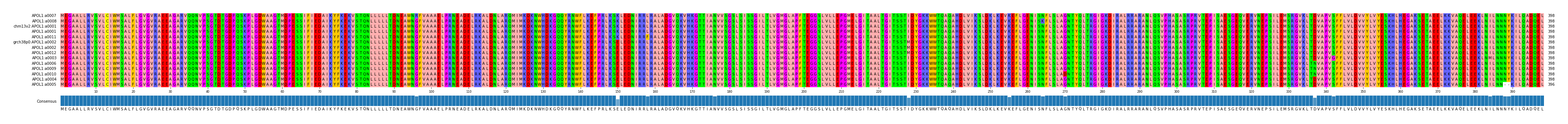 Multiple Alignments (by translate haplotype similarity)