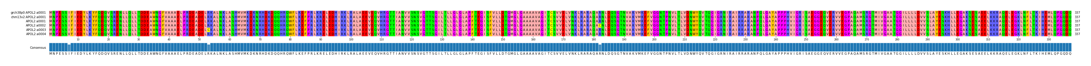 Multiple Alignments (by translate haplotype frequency)