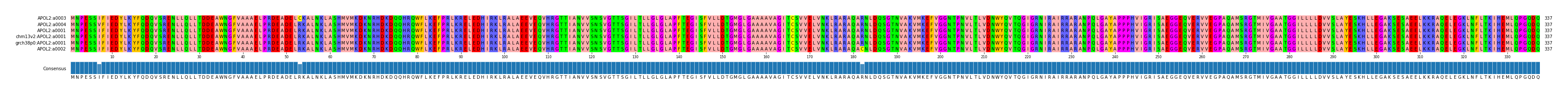 Multiple Alignments (by translate haplotype similarity)