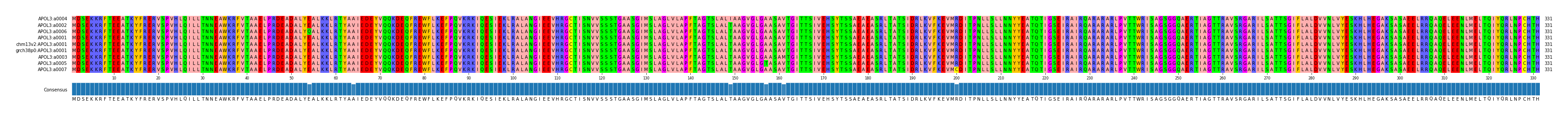 Multiple Alignments (by translate haplotype similarity)