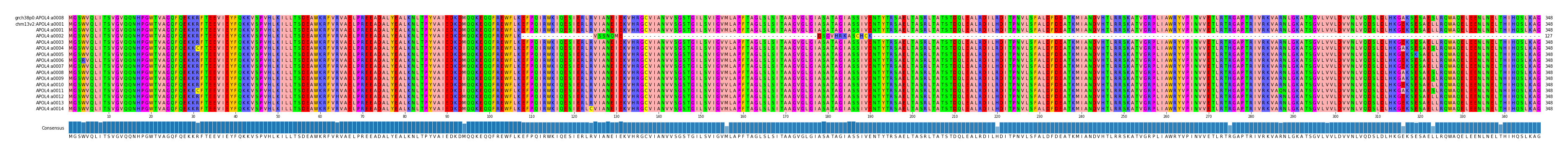 Multiple Alignments (by translate haplotype frequency)