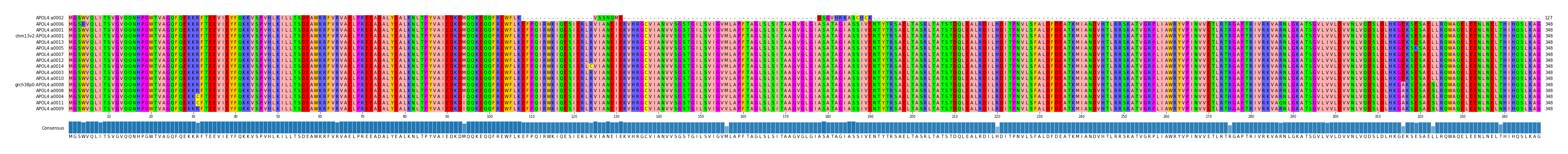 Multiple Alignments (by translate haplotype similarity)