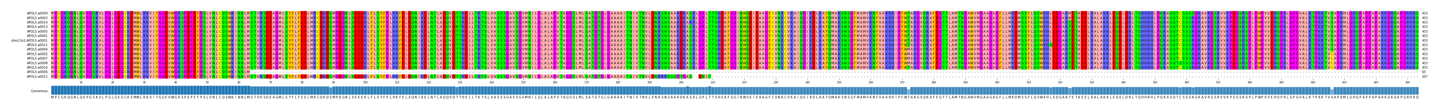 Multiple Alignments (by translate haplotype similarity)