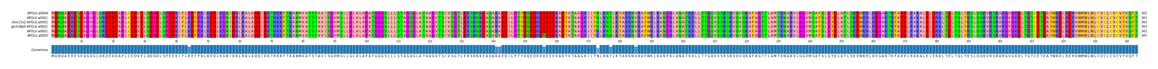 Multiple Alignments (by translate haplotype similarity)