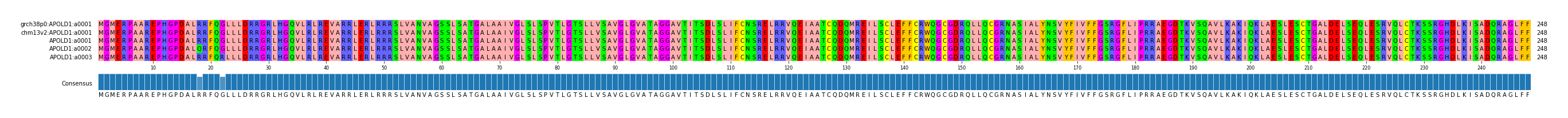 Multiple Alignments (by translate haplotype frequency)