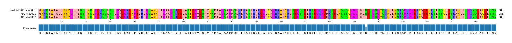 Multiple Alignments (by translate haplotype similarity)