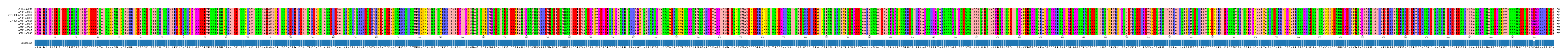 Multiple Alignments (by translate haplotype similarity)