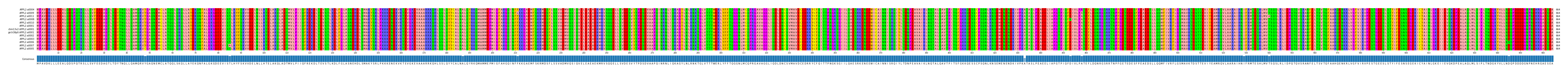 Multiple Alignments (by translate haplotype similarity)