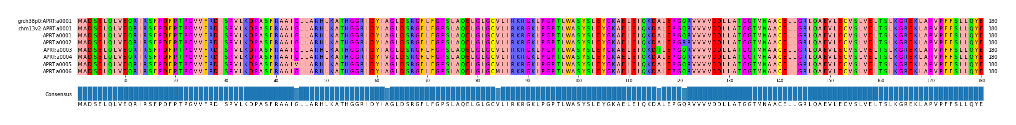 Multiple Alignments (by translate haplotype frequency)