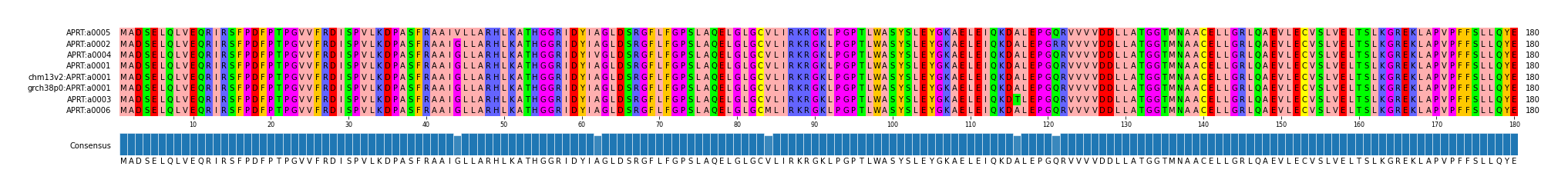 Multiple Alignments (by translate haplotype similarity)