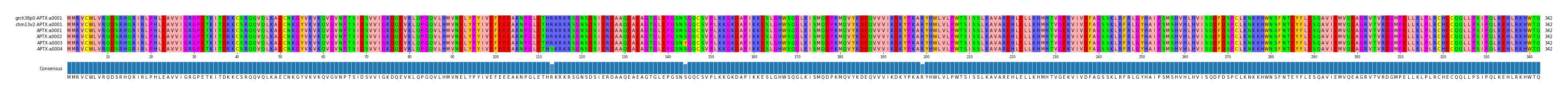 Multiple Alignments (by translate haplotype frequency)