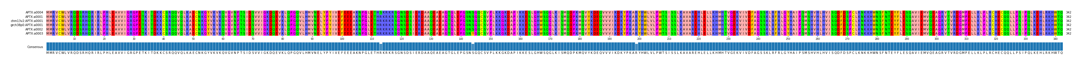 Multiple Alignments (by translate haplotype similarity)