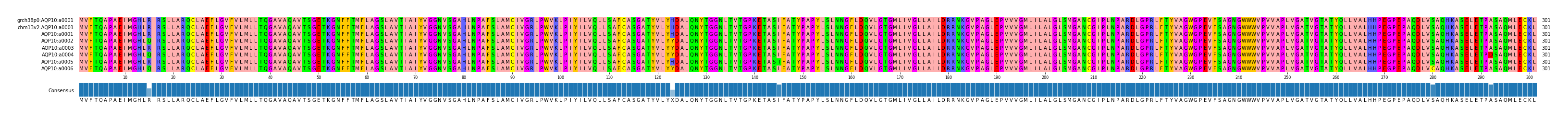Multiple Alignments (by translate haplotype frequency)