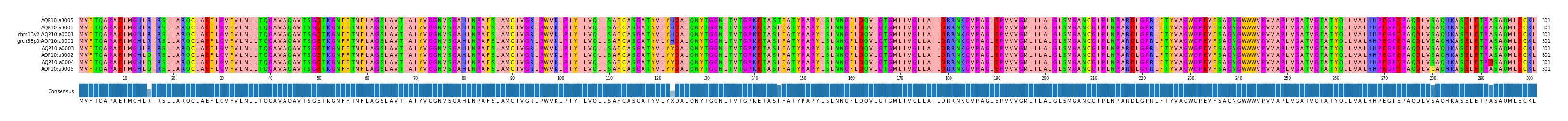Multiple Alignments (by translate haplotype similarity)