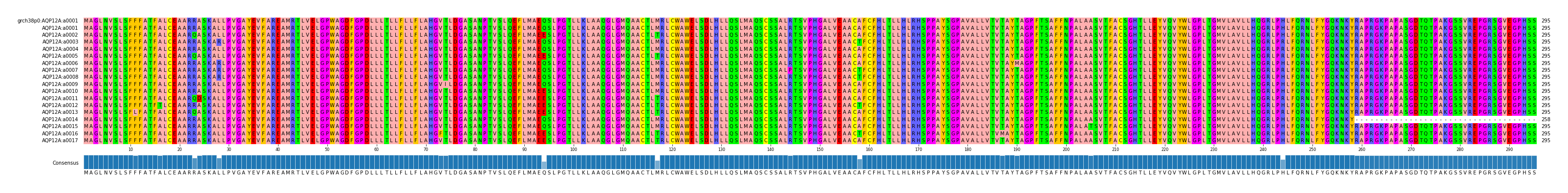Multiple Alignments (by translate haplotype frequency)
