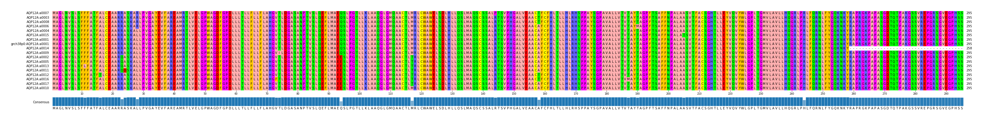 Multiple Alignments (by translate haplotype similarity)
