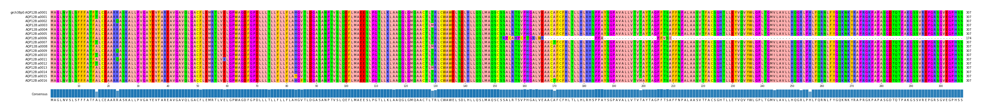 Multiple Alignments (by translate haplotype frequency)