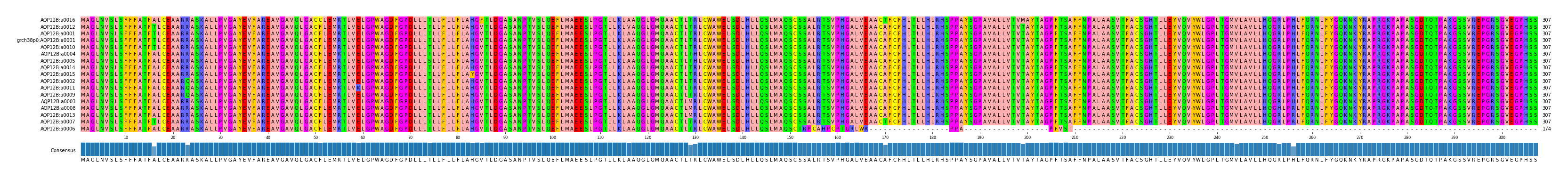 Multiple Alignments (by translate haplotype similarity)