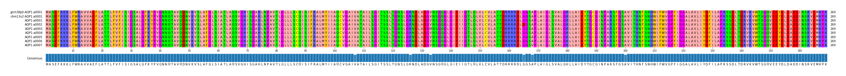 Multiple Alignments (by translate haplotype frequency)