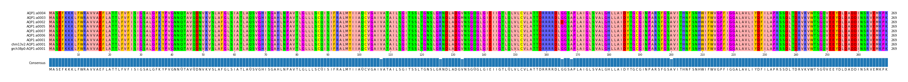 Multiple Alignments (by translate haplotype similarity)