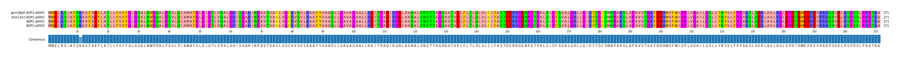 Multiple Alignments (by translate haplotype similarity)