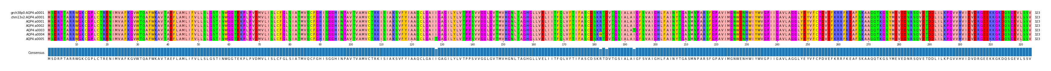 Multiple Alignments (by translate haplotype frequency)