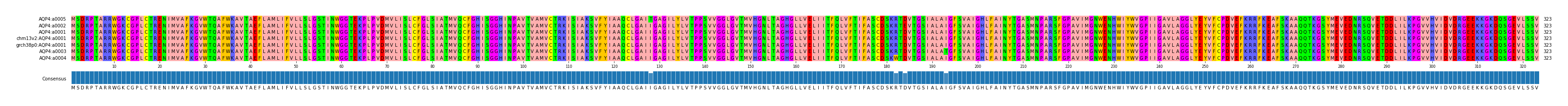 Multiple Alignments (by translate haplotype similarity)