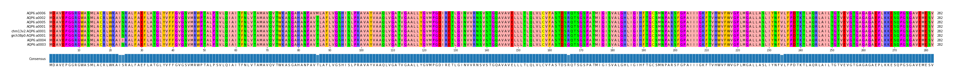 Multiple Alignments (by translate haplotype similarity)