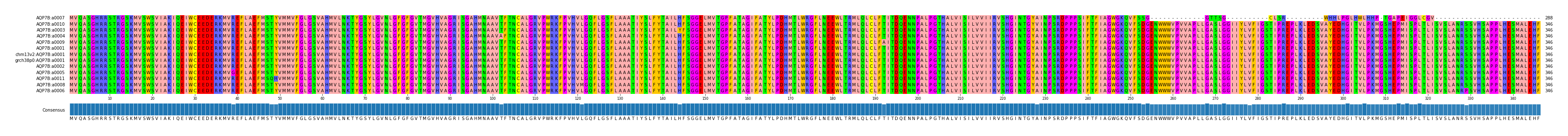 Multiple Alignments (by translate haplotype similarity)