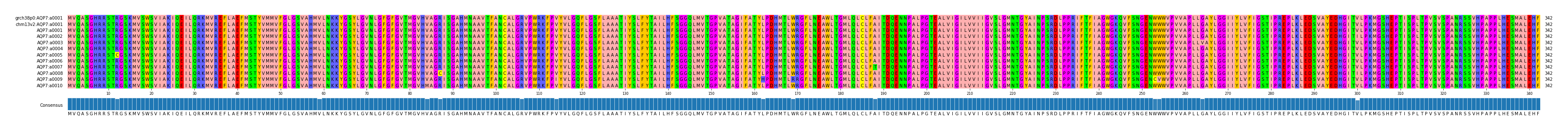 Multiple Alignments (by translate haplotype frequency)