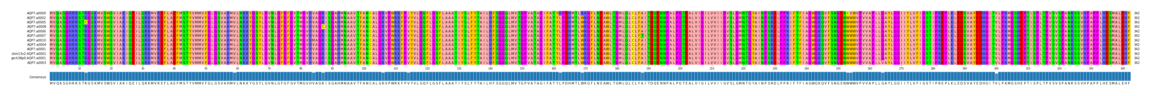 Multiple Alignments (by translate haplotype similarity)